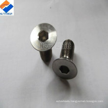 hot selling titanium countersunk screw